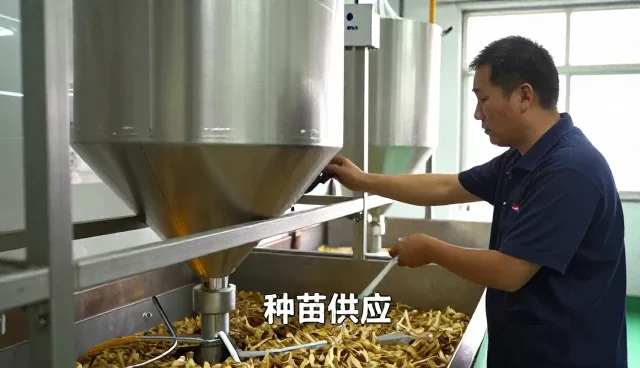 菏泽金都养殖有限公司分享种苗供应应用案例